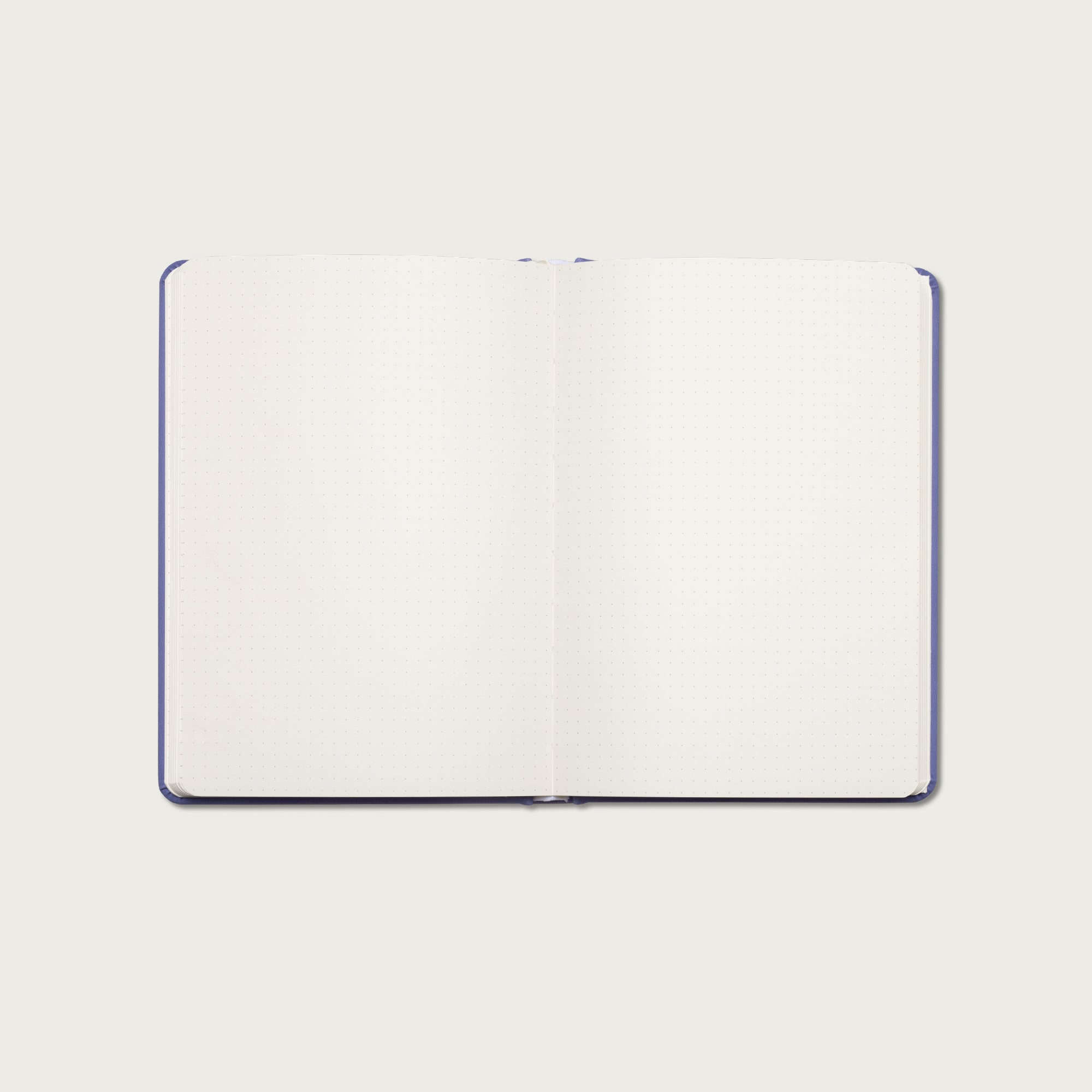 A Beautiful Year Dot Grid Journal