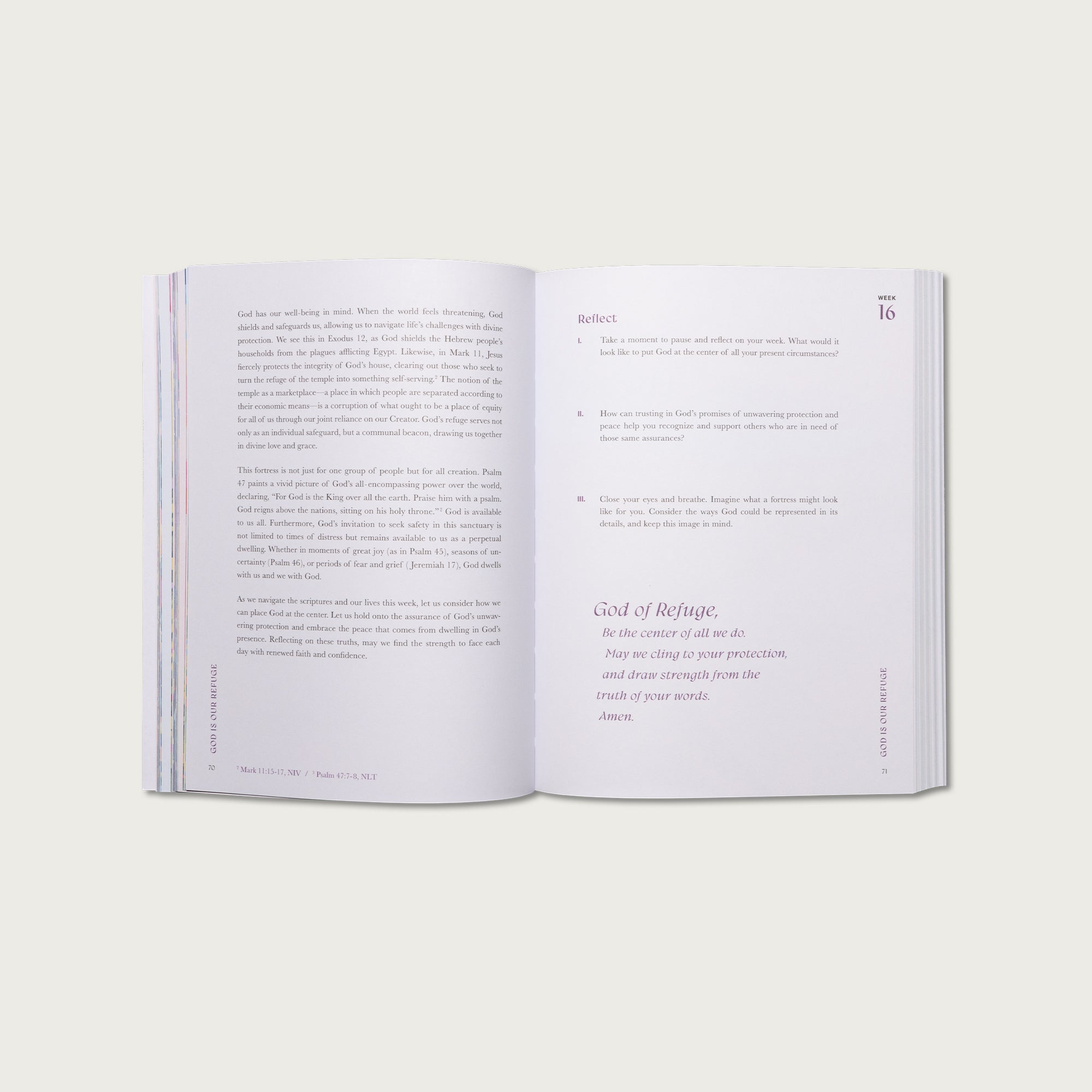 A Beautiful Year in the Bible: The 52-Week Bible Study for Women