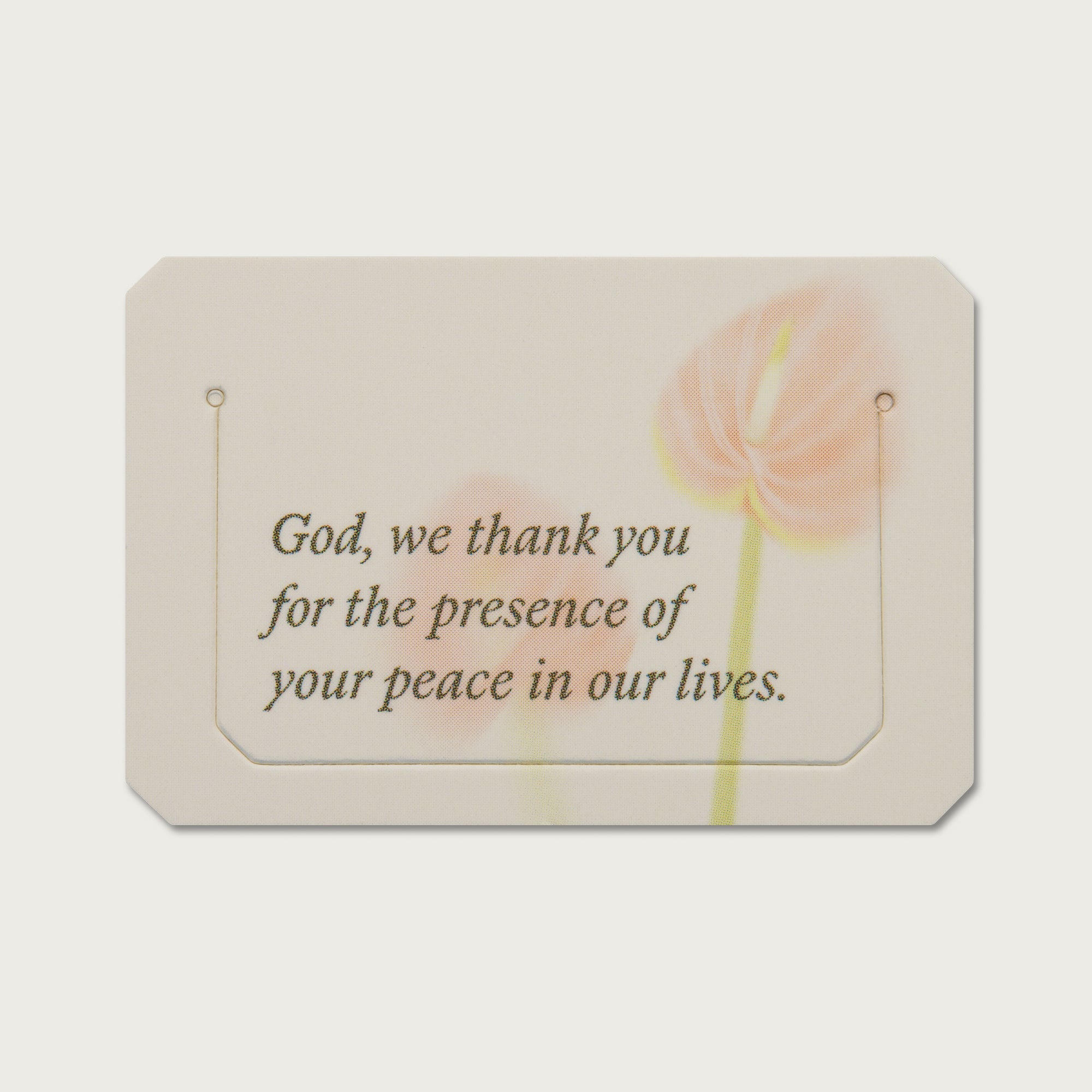 A Beautiful Year with Jesus Bookmark Tabs