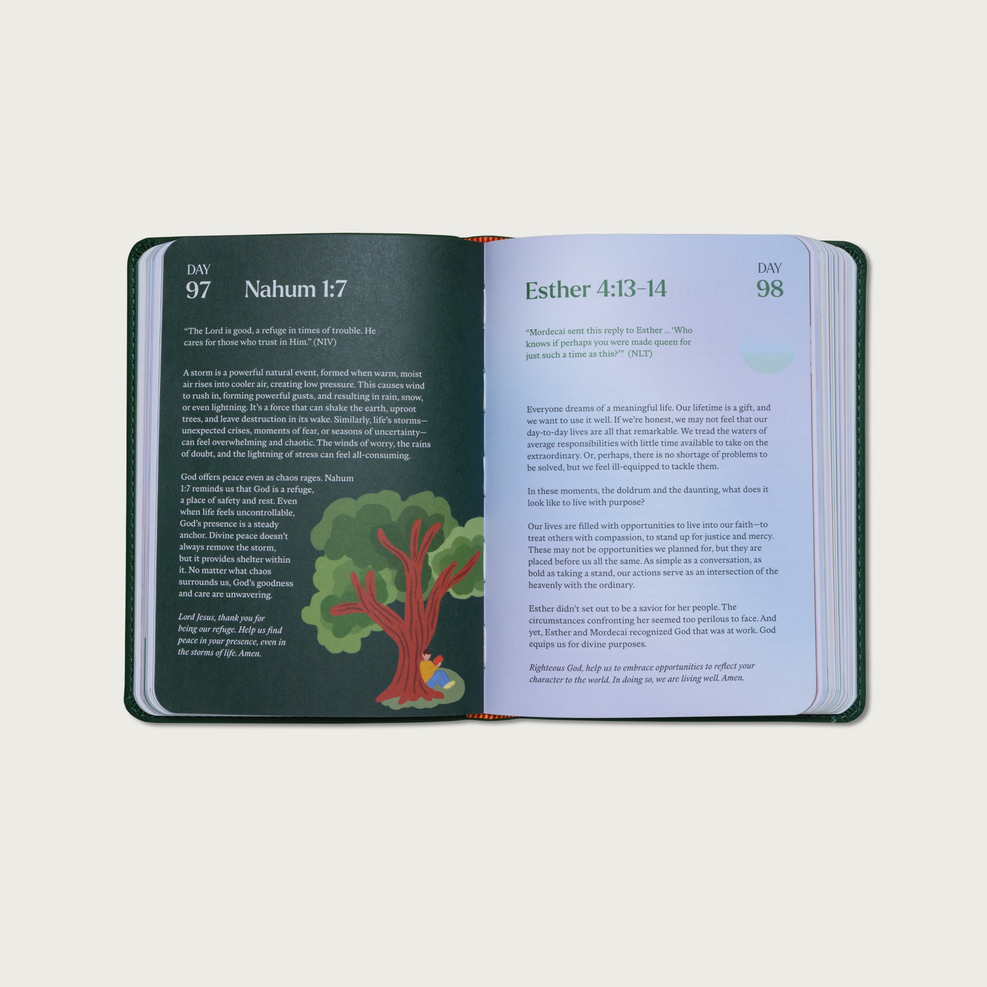 A Beautiful Year with Jesus: The 365 Day Bible Devotional