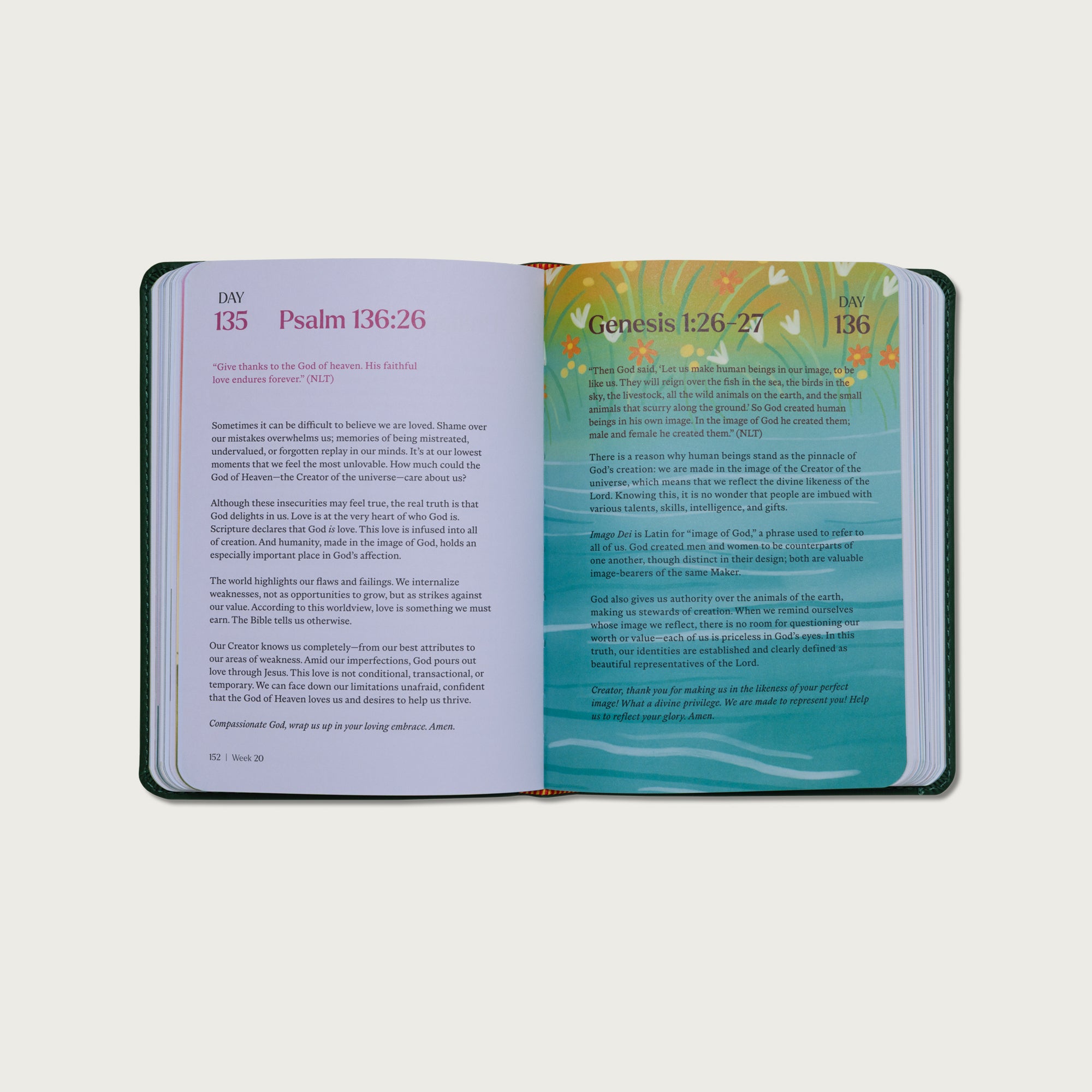 A Beautiful Year with Jesus: The 365 Day Bible Devotional