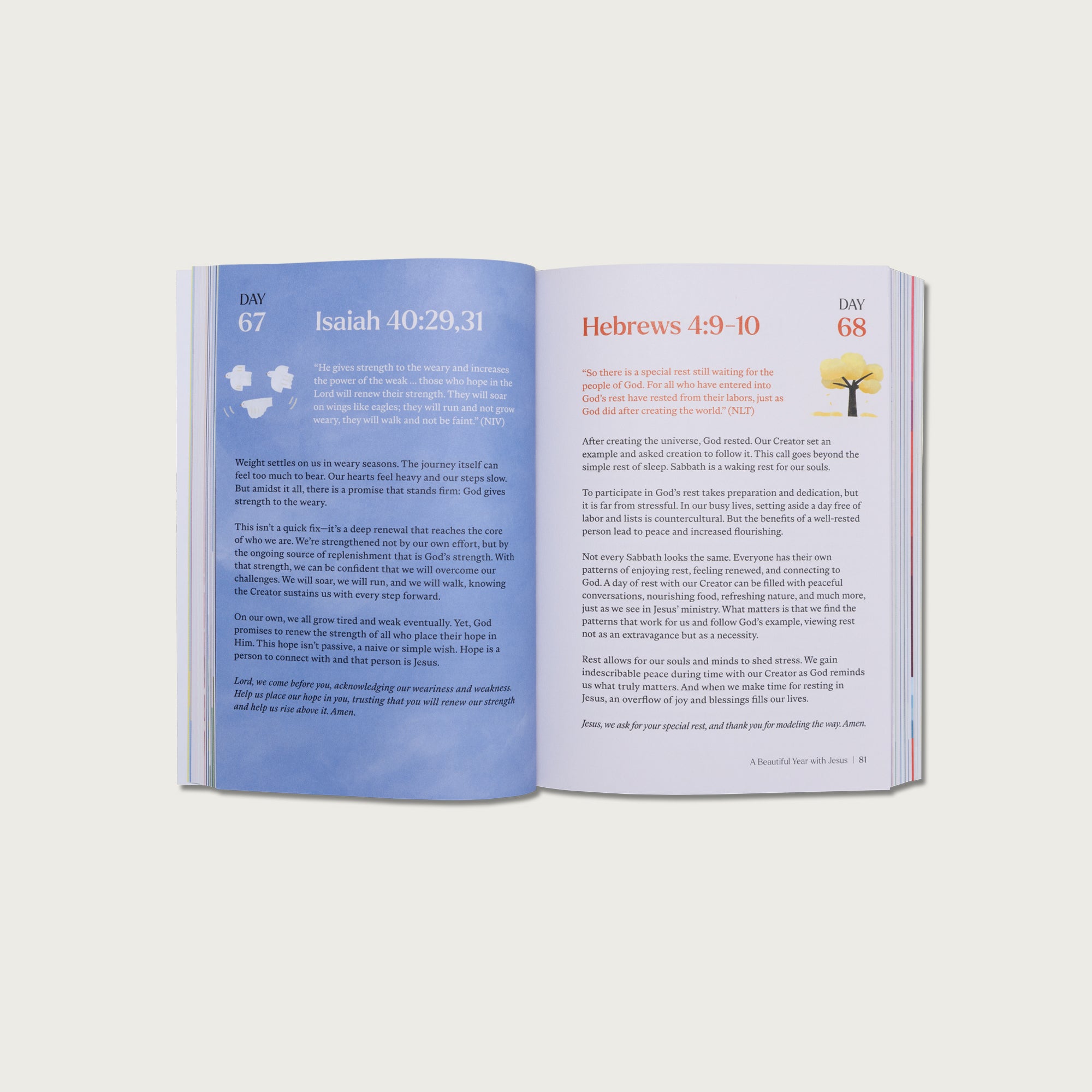 A Beautiful Year with Jesus Essentials Collection