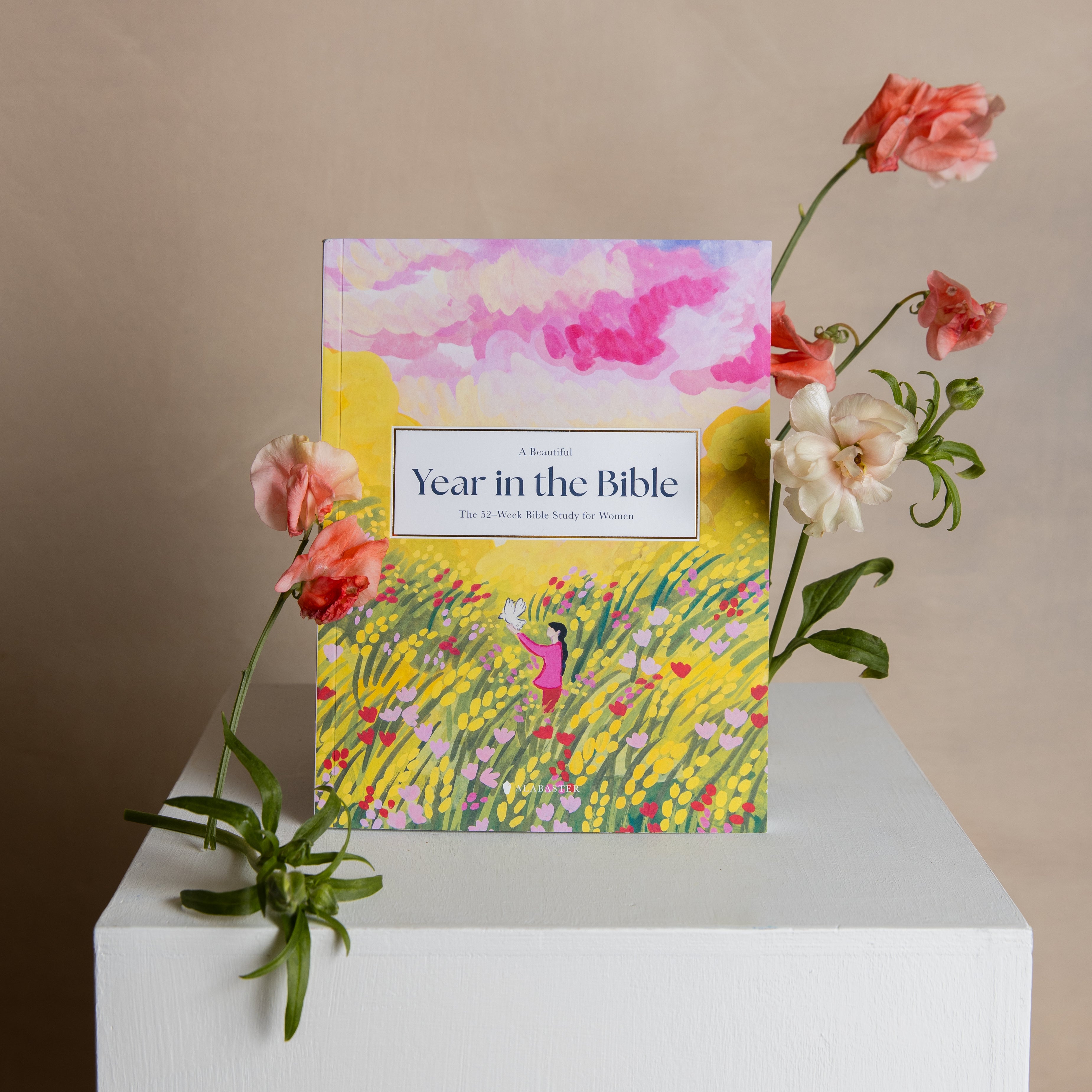 A Beautiful Year in the Bible: The 52-Week Bible Study for Women