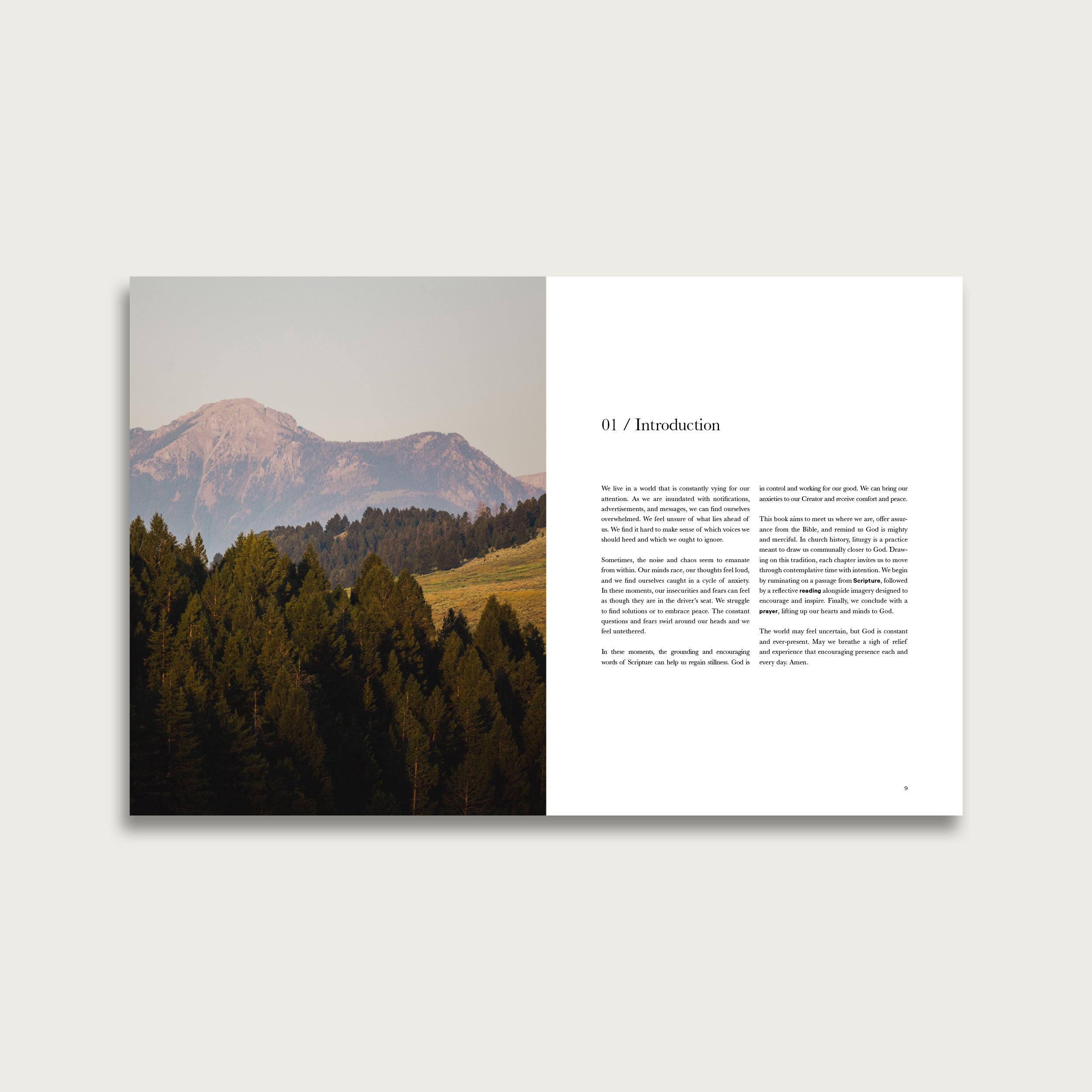 Visual Liturgies Bundle (E-Book)