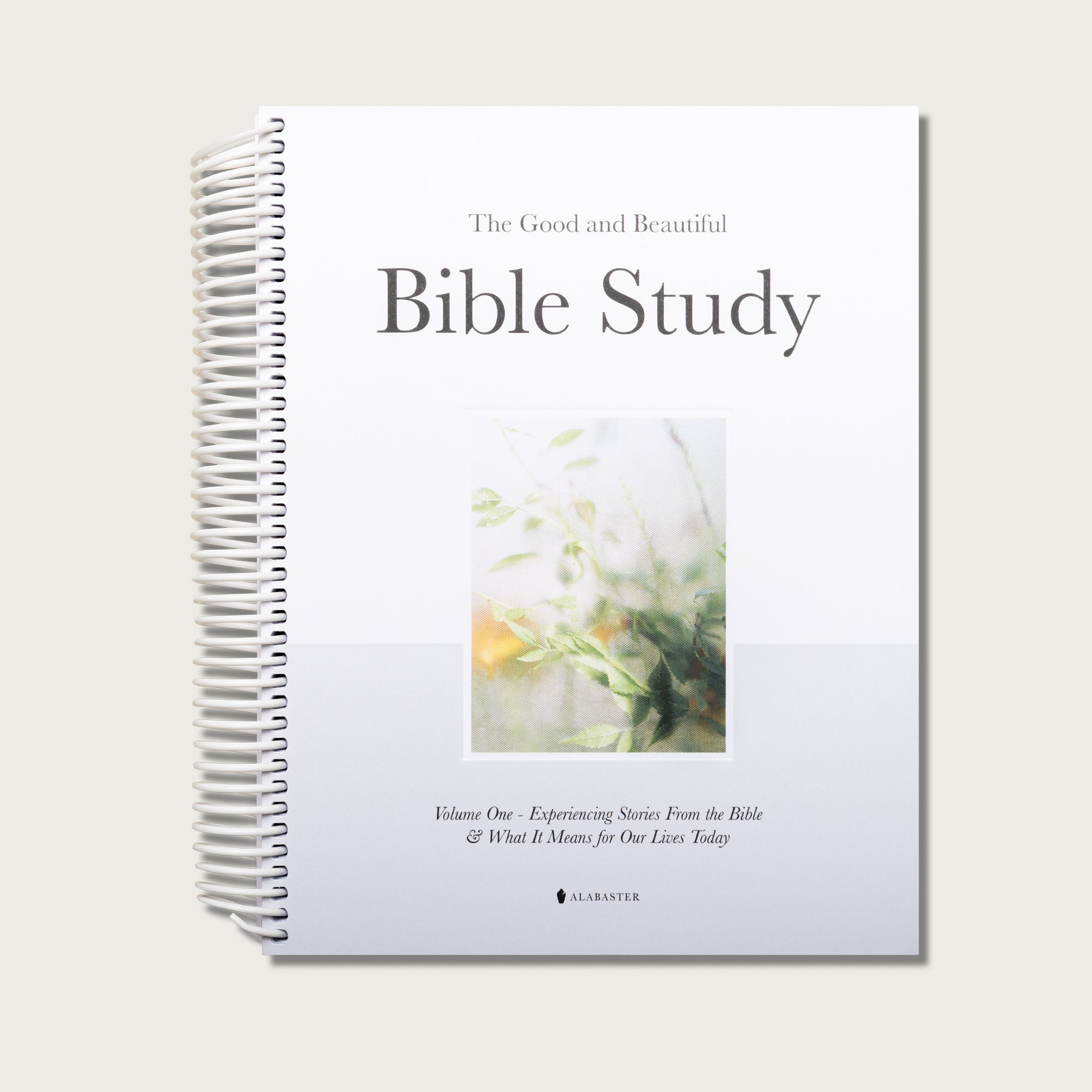 The Good and Beautiful Bible Study - Volume 1