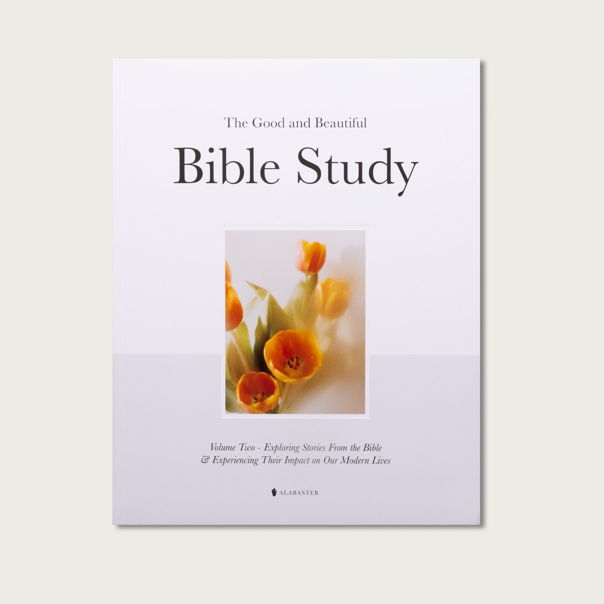 The Good and Beautiful Bible Study - Volume 2