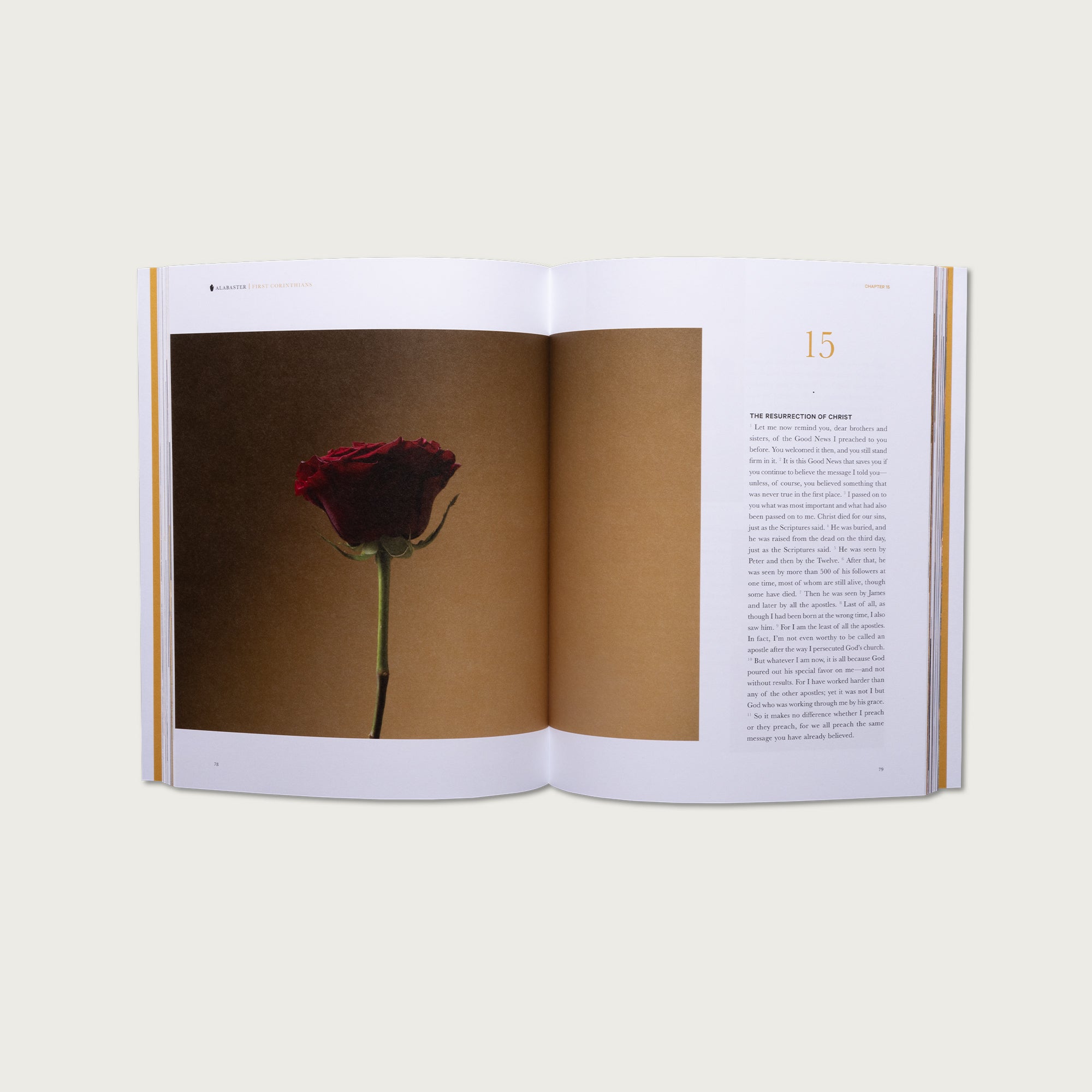 The Complete Bible Collection