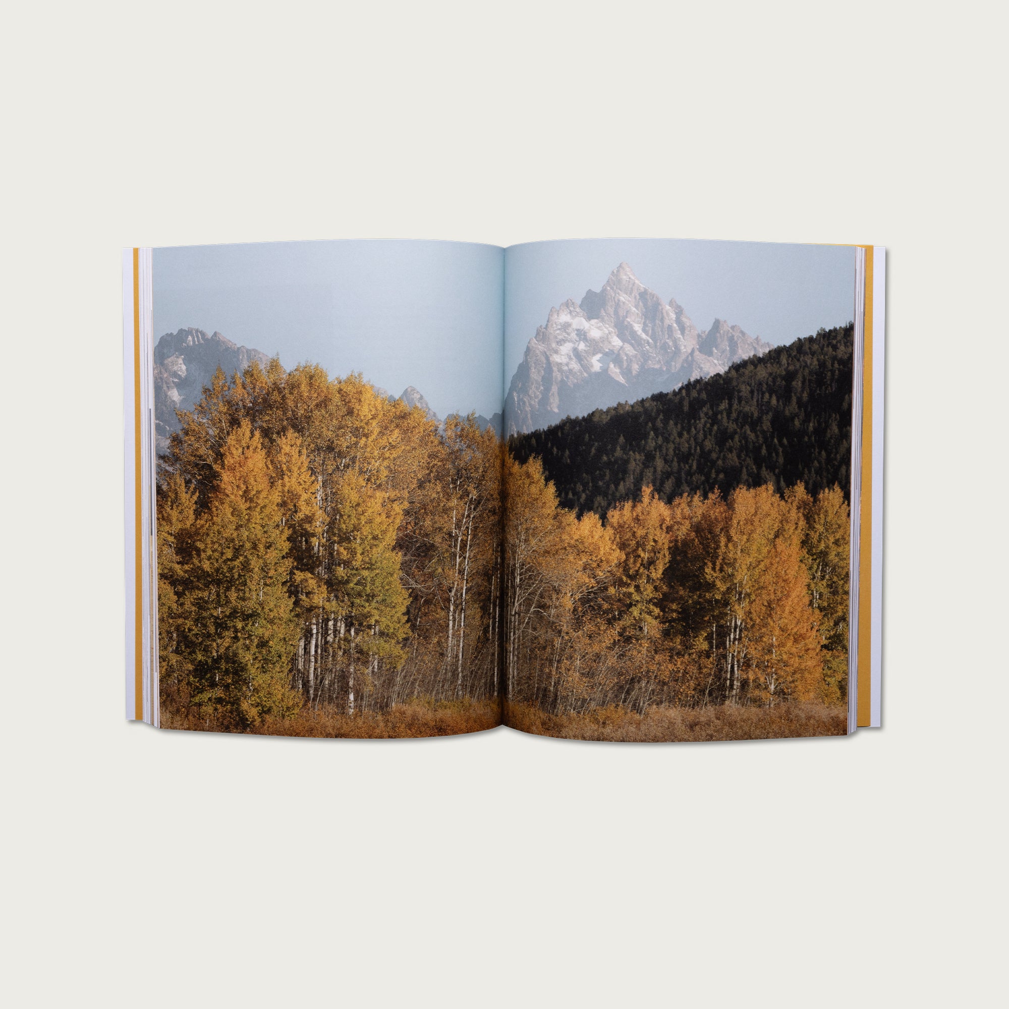 The Book of First & Second Corinthians