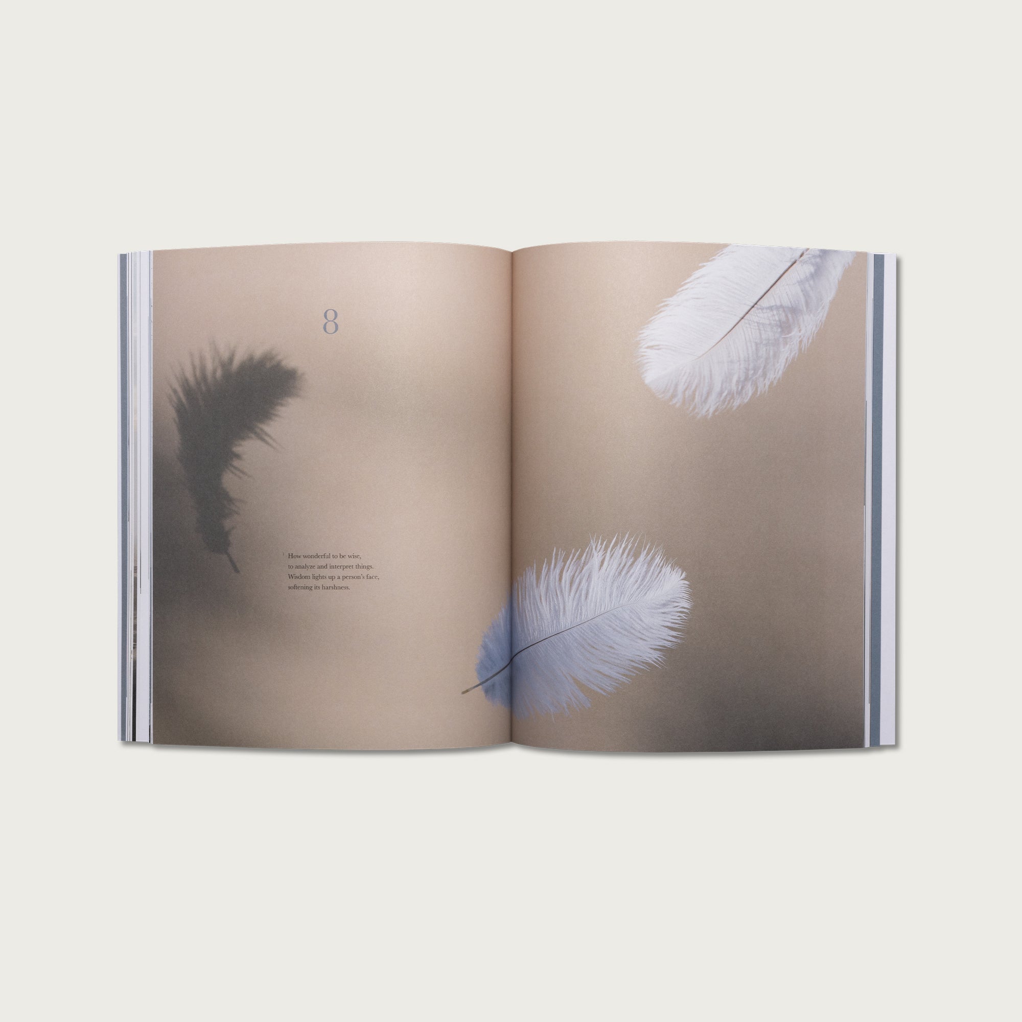 The Book of Ecclesiastes