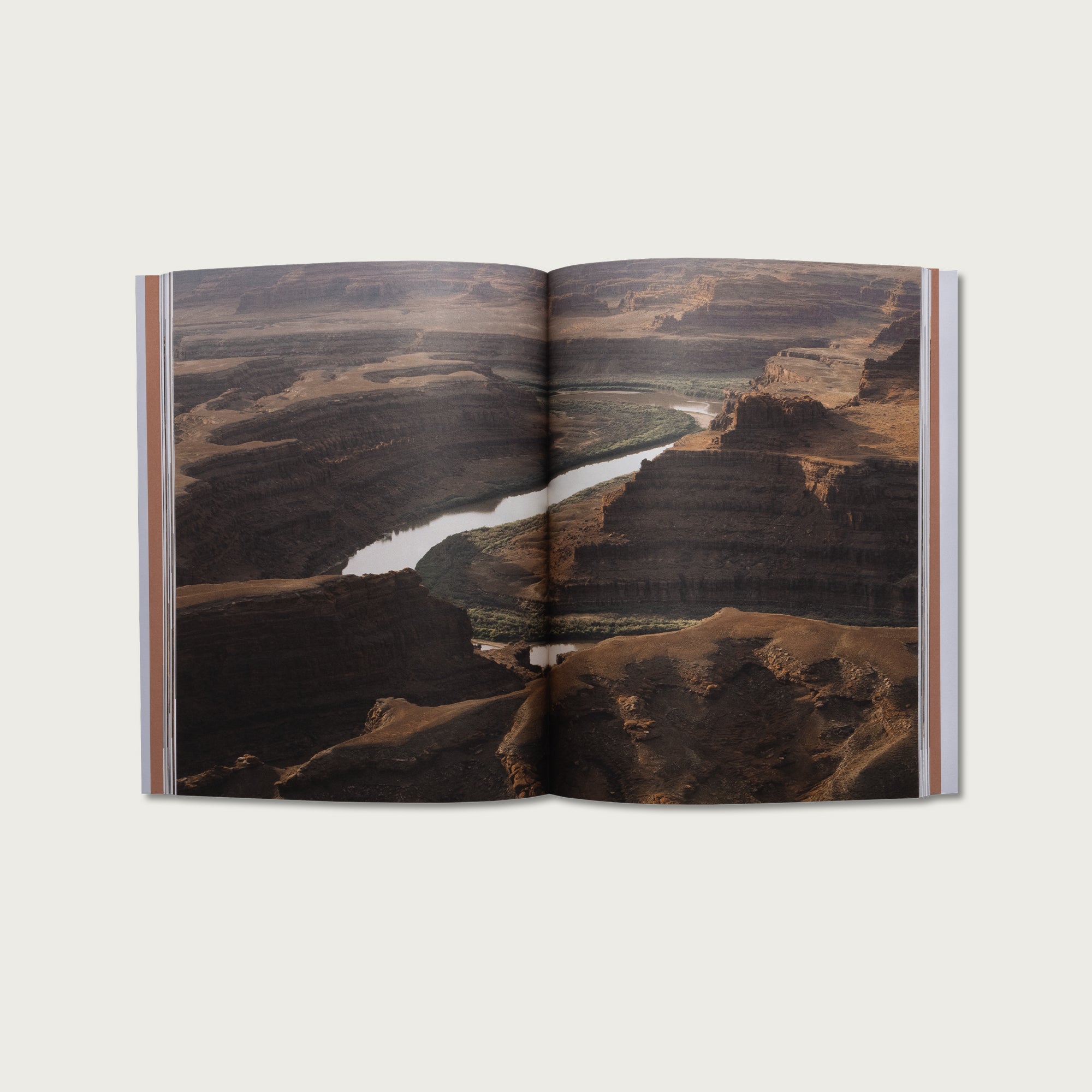 The Book of Philippians