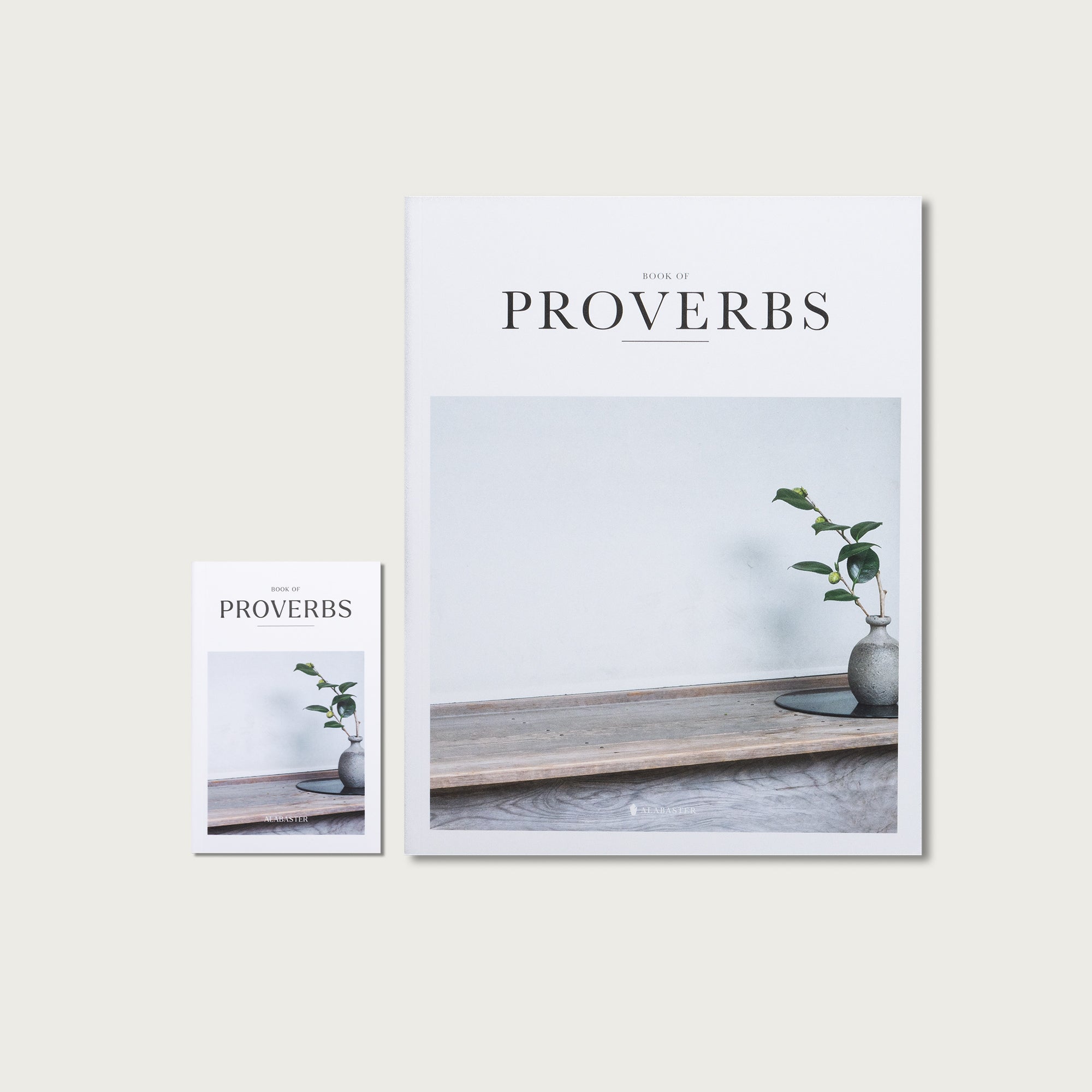 The Book of Proverbs