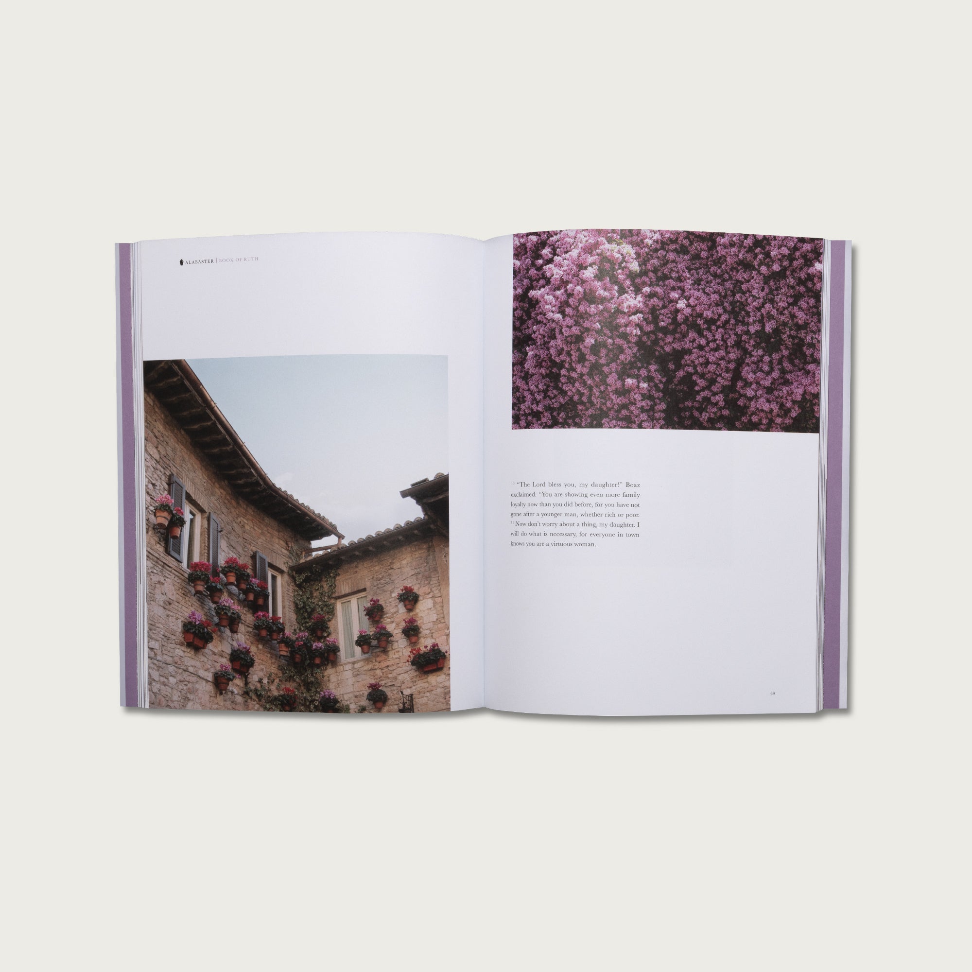 Women Narrative Pairing: Esther & Ruth