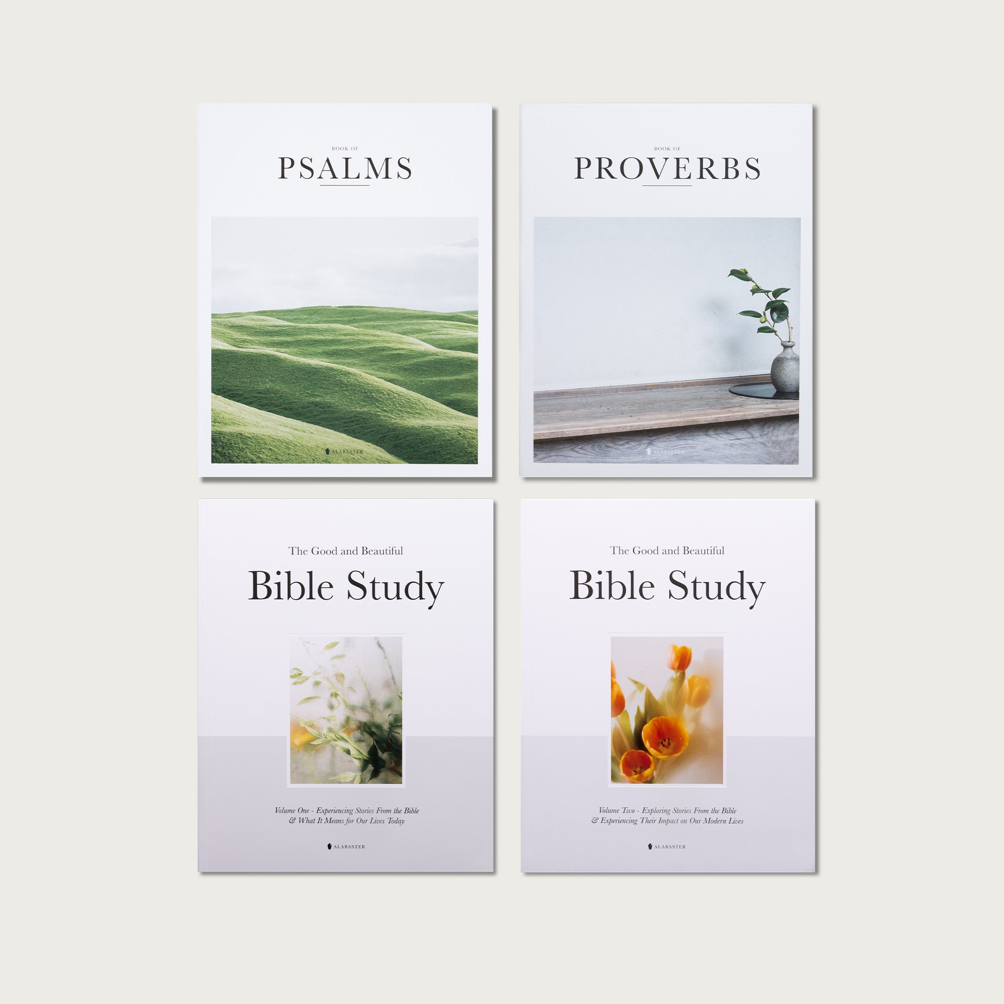 The Study Bundle